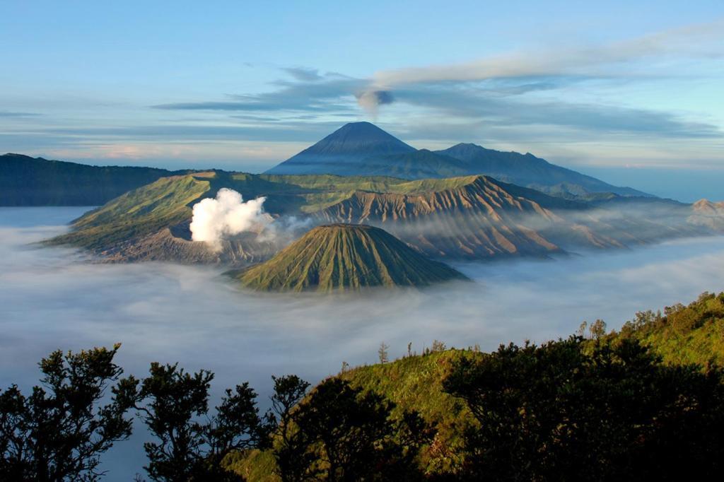 Hotel Lereng Bromo Pasuruan Dış mekan fotoğraf